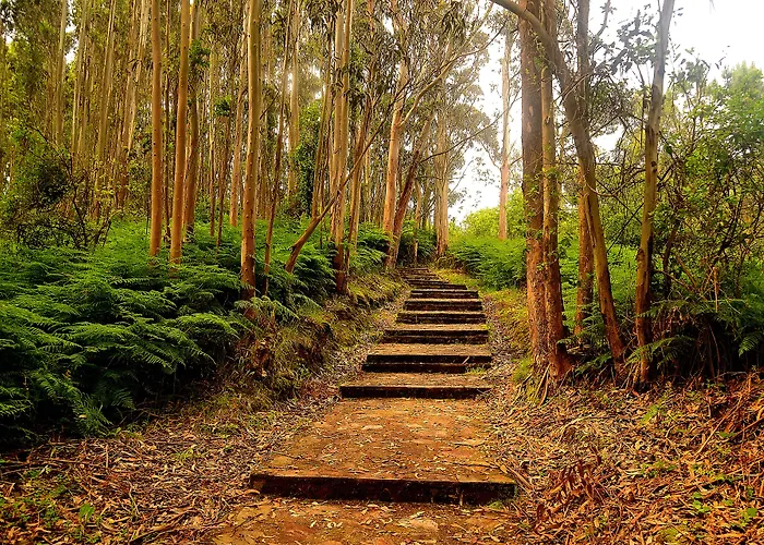 La Colina Ξενοδοχείο 4*